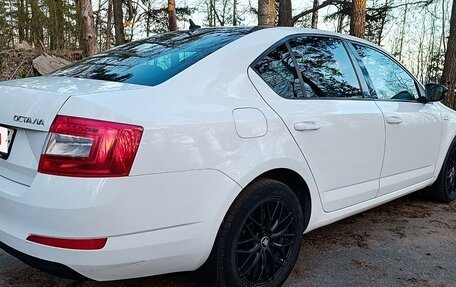 Skoda Octavia, 2017 год, 1 635 000 рублей, 7 фотография