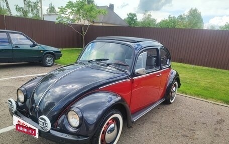 Volkswagen Type 1, 1982 год, 2 150 000 рублей, 2 фотография