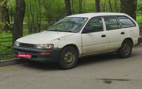 Toyota Corolla, 2001 год, 200 000 рублей, 1 фотография