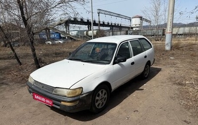 Toyota Corolla, 1999 год, 170 000 рублей, 1 фотография
