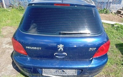 Peugeot 307 I, 2004 год, 110 000 рублей, 1 фотография
