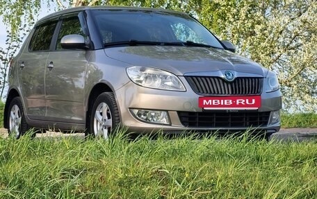 Skoda Fabia II, 2011 год, 2 фотография