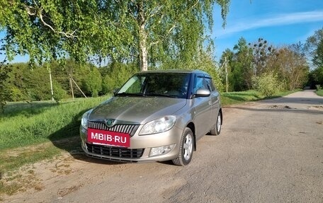 Skoda Fabia II, 2011 год, 4 фотография