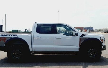 Ford F-150, 2025 год, 20 900 000 рублей, 13 фотография