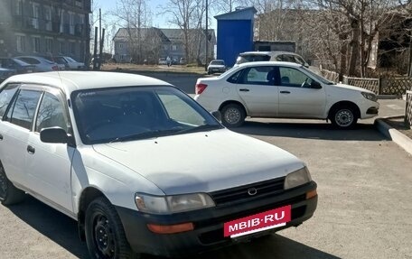 Toyota Corolla, 2001 год, 349 000 рублей, 5 фотография