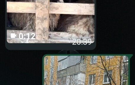ГАЗ 31105 «Волга», 2006 год, 100 000 рублей, 1 фотография