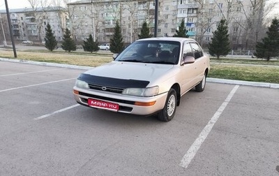 Toyota Corolla, 1993 год, 350 000 рублей, 1 фотография