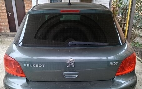 Peugeot 307 I, 2007 год, 550 000 рублей, 4 фотография