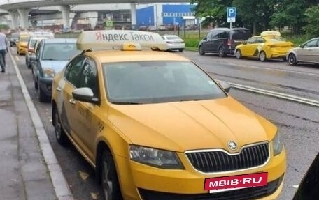 Skoda Octavia, 2016 год, 1 400 000 рублей, 2 фотография
