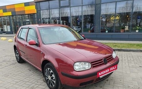 Volkswagen Golf IV, 2003 год, 350 000 рублей, 2 фотография