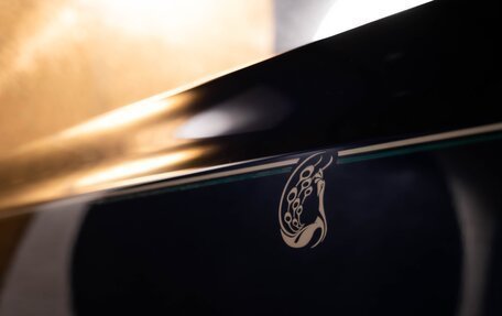 Rolls-Royce Phantom VII рестайлинг, 2016 год, 80 000 000 рублей, 20 фотография