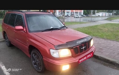 Subaru Forester, 2000 год, 515 000 рублей, 1 фотография