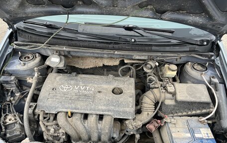 Toyota Corolla, 2003 год, 510 000 рублей, 8 фотография
