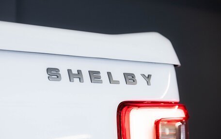 Ford F-150, 2024 год, 22 490 000 рублей, 9 фотография