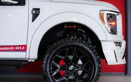 Ford F-150, 2024 год, 22 490 000 рублей, 12 фотография