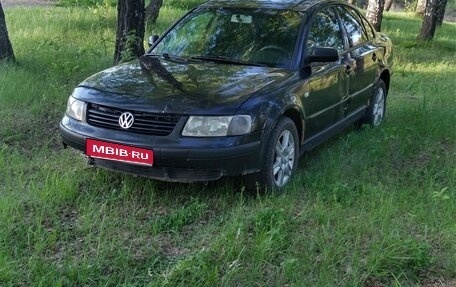 Volkswagen Passat B5+ рестайлинг, 1999 год, 250 000 рублей, 1 фотография