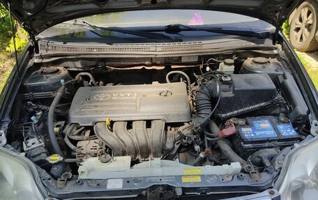 Toyota Corolla, 2003 год, 500 000 рублей, 21 фотография
