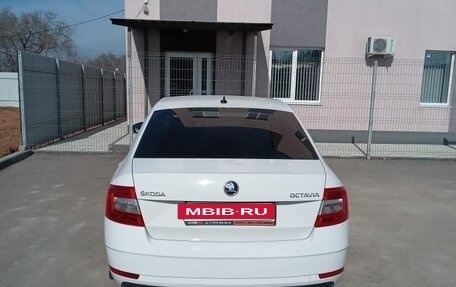 Skoda Octavia, 2019 год, 1 650 000 рублей, 3 фотография