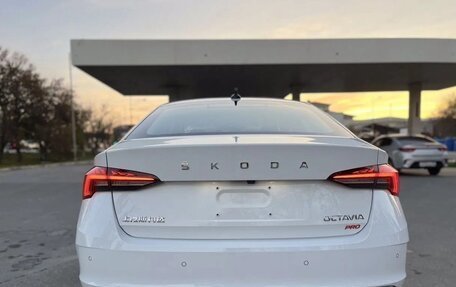 Skoda Octavia IV, 2021 год, 2 150 000 рублей, 6 фотография