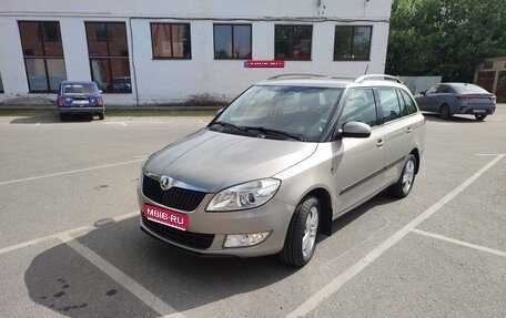 Skoda Fabia II, 2013 год, 1 100 000 рублей, 1 фотография