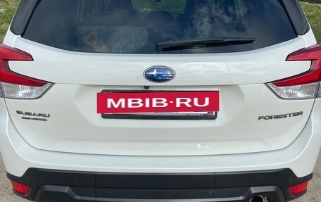 Subaru Forester, 2019 год, 3 400 000 рублей, 9 фотография