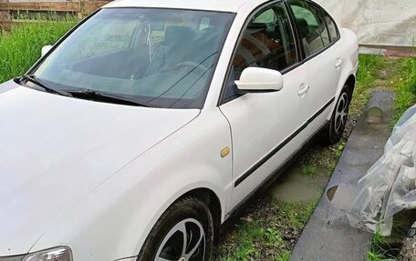 Volkswagen Passat B5+ рестайлинг, 1997 год, 100 000 рублей, 14 фотография