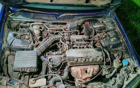 Honda Domani, 1995 год, 160 000 рублей, 7 фотография