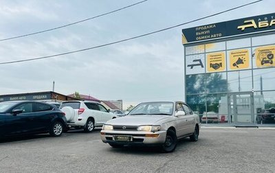 Toyota Corolla, 1992 год, 199 000 рублей, 1 фотография