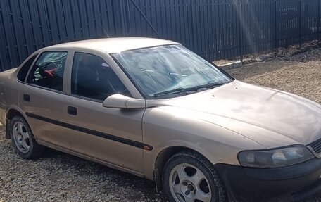 Opel Vectra B рестайлинг, 1998 год, 230 000 рублей, 3 фотография
