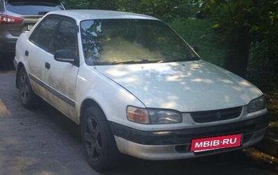 Toyota Corolla, 1996 год, 205 000 рублей, 1 фотография