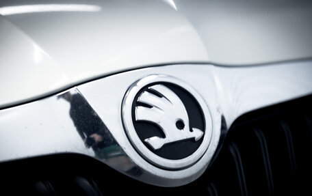 Skoda Fabia II, 2013 год, 750 000 рублей, 9 фотография