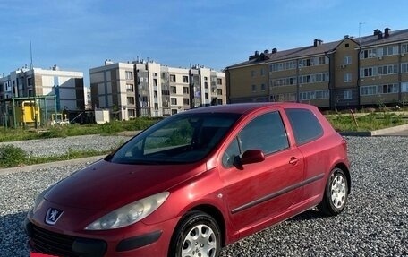 Peugeot 307 I, 2007 год, 405 000 рублей, 3 фотография