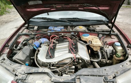 Volkswagen Passat B5+ рестайлинг, 1998 год, 230 000 рублей, 4 фотография