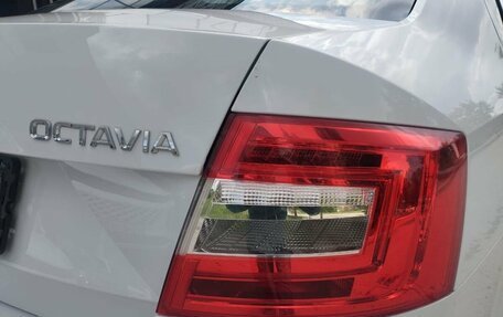 Skoda Octavia, 2019 год, 1 879 000 рублей, 35 фотография