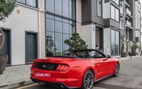 Ford Mustang VI рестайлинг, 2019 год, 3 690 000 рублей, 2 фотография