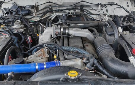 Nissan Safari IV, 1999 год, 2 000 000 рублей, 6 фотография
