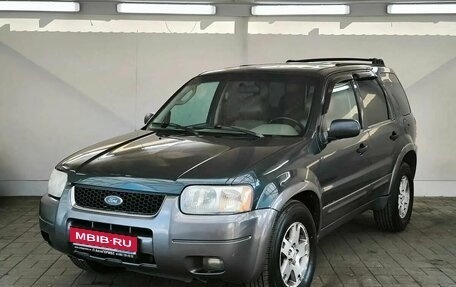 Ford Escape II, 2003 год, 387 000 рублей, 1 фотография