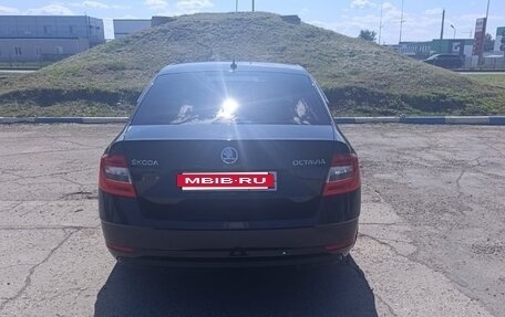 Skoda Octavia IV, 2020 год, 1 750 000 рублей, 5 фотография