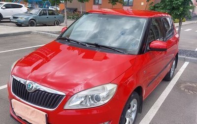 Skoda Fabia II, 2010 год, 930 000 рублей, 1 фотография