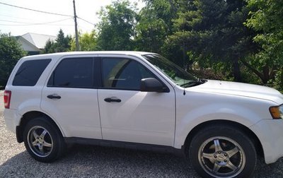 Ford Escape II, 2010 год, 800 000 рублей, 1 фотография