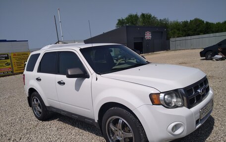 Ford Escape II, 2010 год, 800 000 рублей, 5 фотография