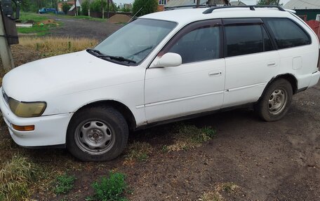 Toyota Corolla, 1994 год, 300 000 рублей, 1 фотография