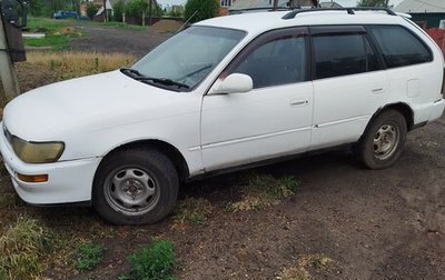 Toyota Corolla, 1994 год, 300 000 рублей, 1 фотография