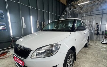 Skoda Fabia II, 2014 год, 615 000 рублей, 1 фотография