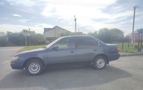 Toyota Corolla, 1991 год, 420 000 рублей, 4 фотография