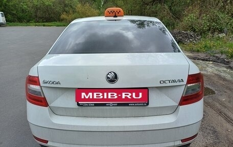Skoda Octavia, 2017 год, 800 000 рублей, 4 фотография