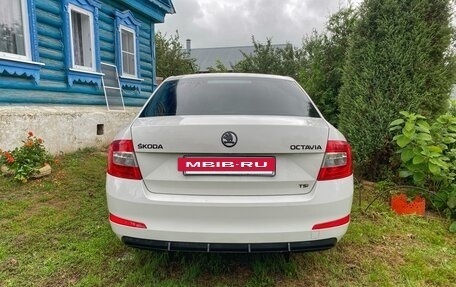Skoda Octavia, 2013 год, 1 560 000 рублей, 3 фотография
