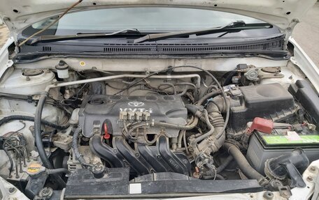 Toyota Corolla, 2003 год, 550 000 рублей, 9 фотография