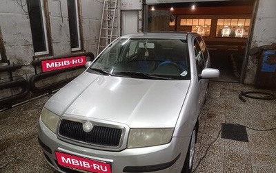 Skoda Fabia I, 2004 год, 300 000 рублей, 1 фотография