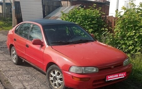 Toyota Corolla, 1995 год, 250 000 рублей, 2 фотография